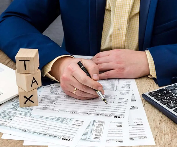 Tax Professional Assistance